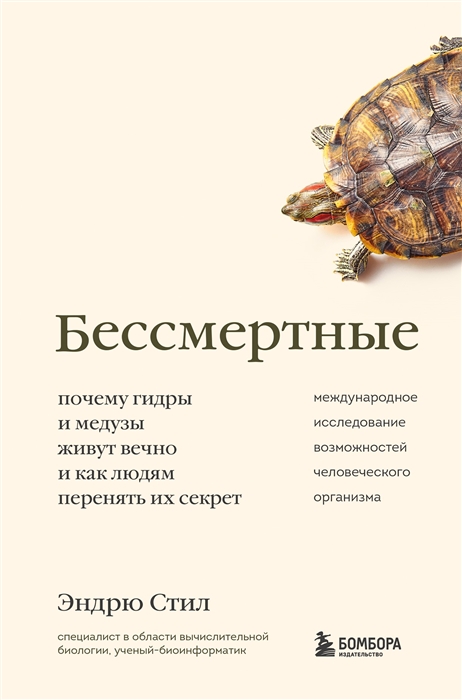 Услуги даркнета